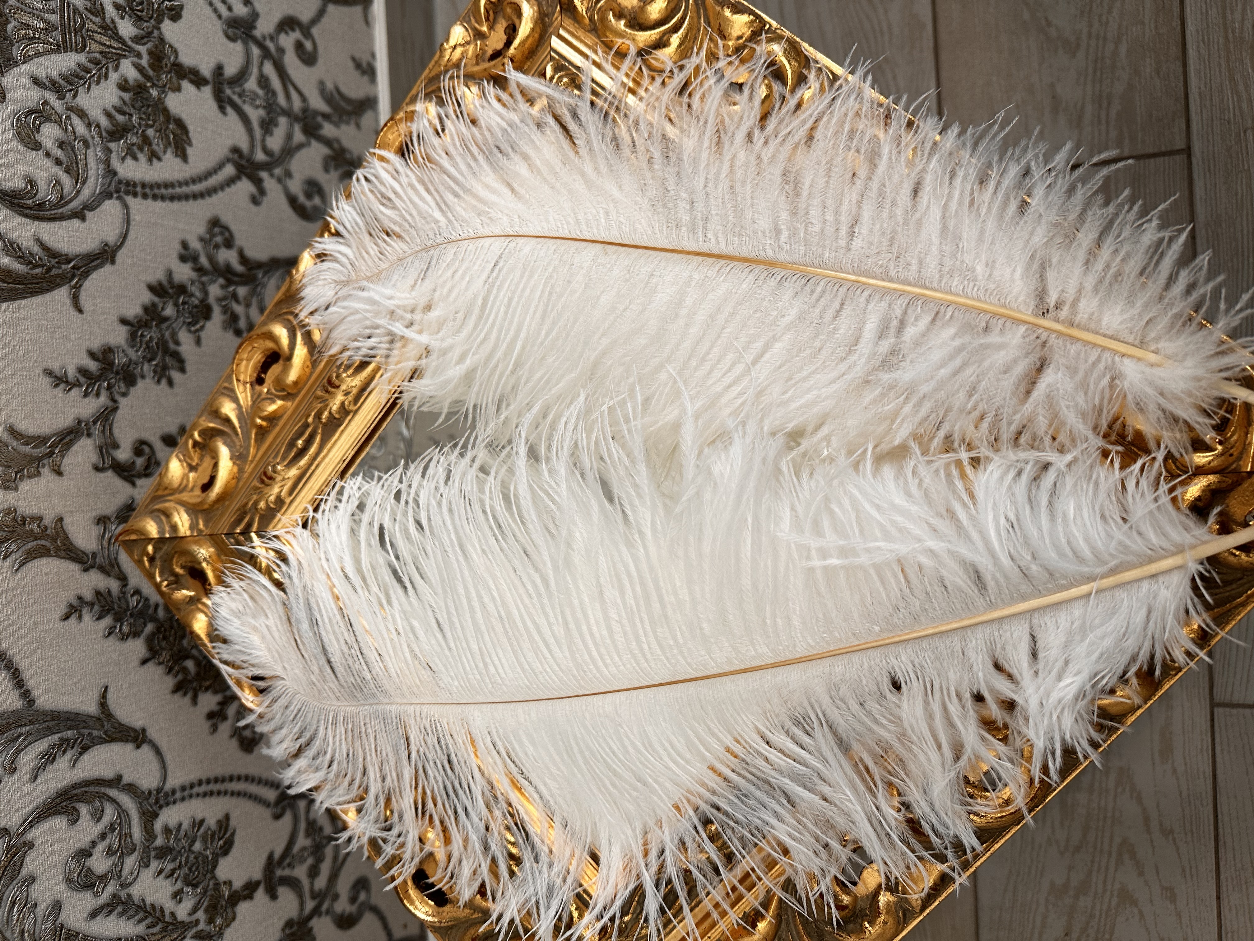 dekoratyvinės stručio plunksnos baltos