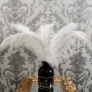 dekoratyvinės baltos plunksnos