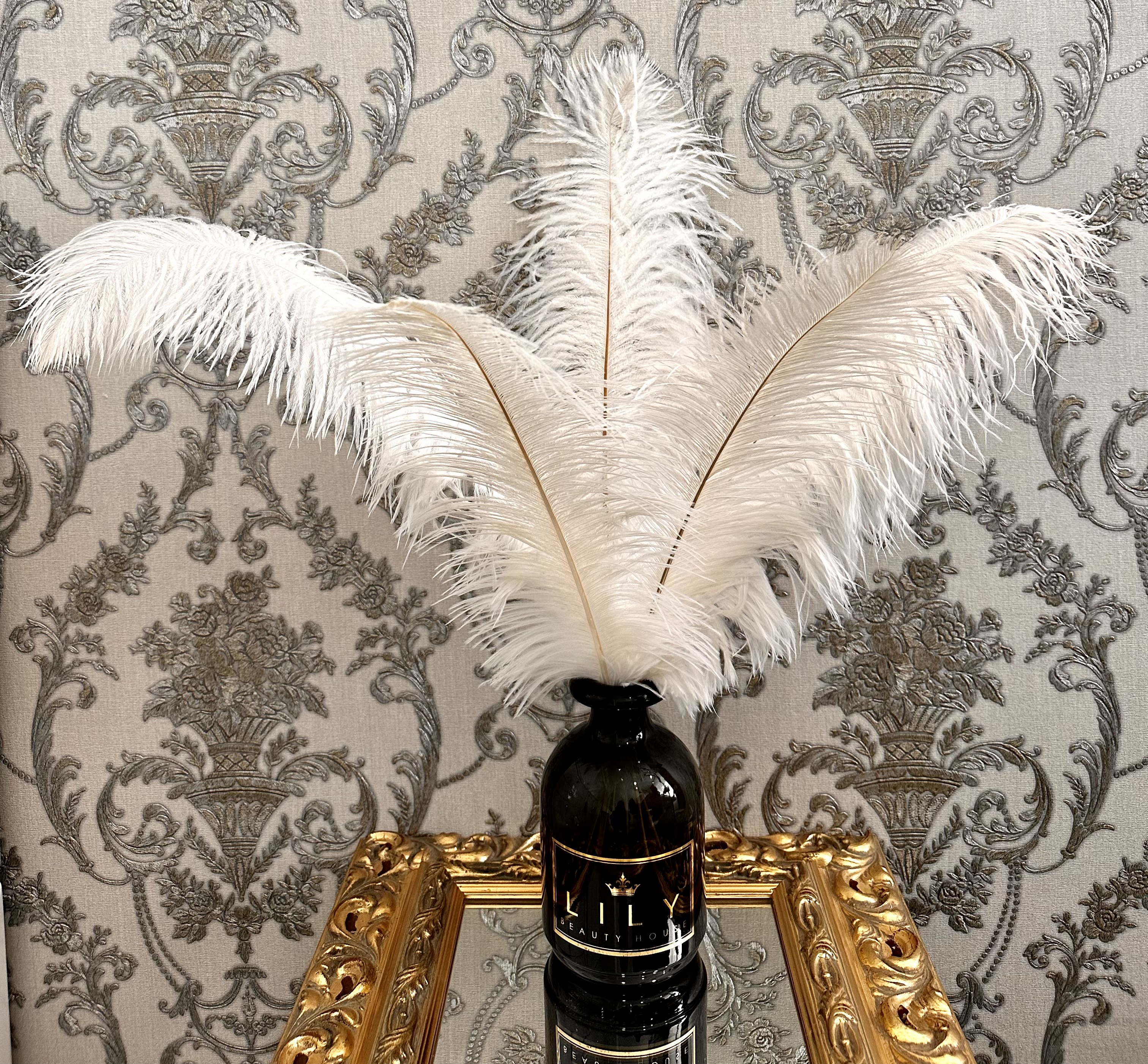 dekoratyvinės baltos plunksnos