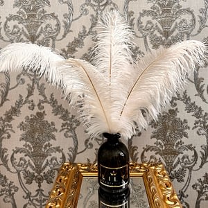 decorative white feathers